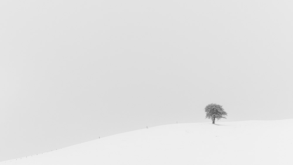 Platz 2 Anton Kienle